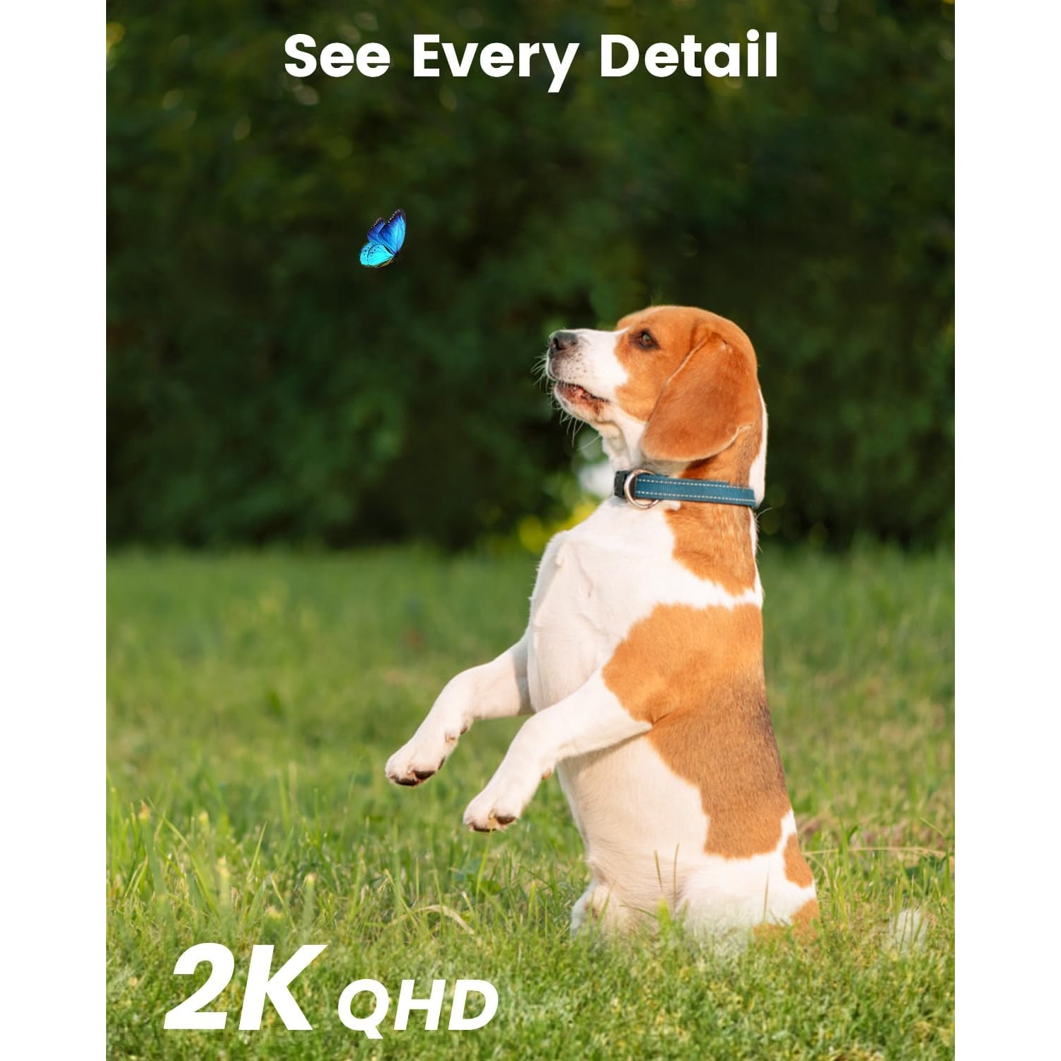 2K Solar Security Camera 2 Pack with Auto Tracking and Colour Night Vision